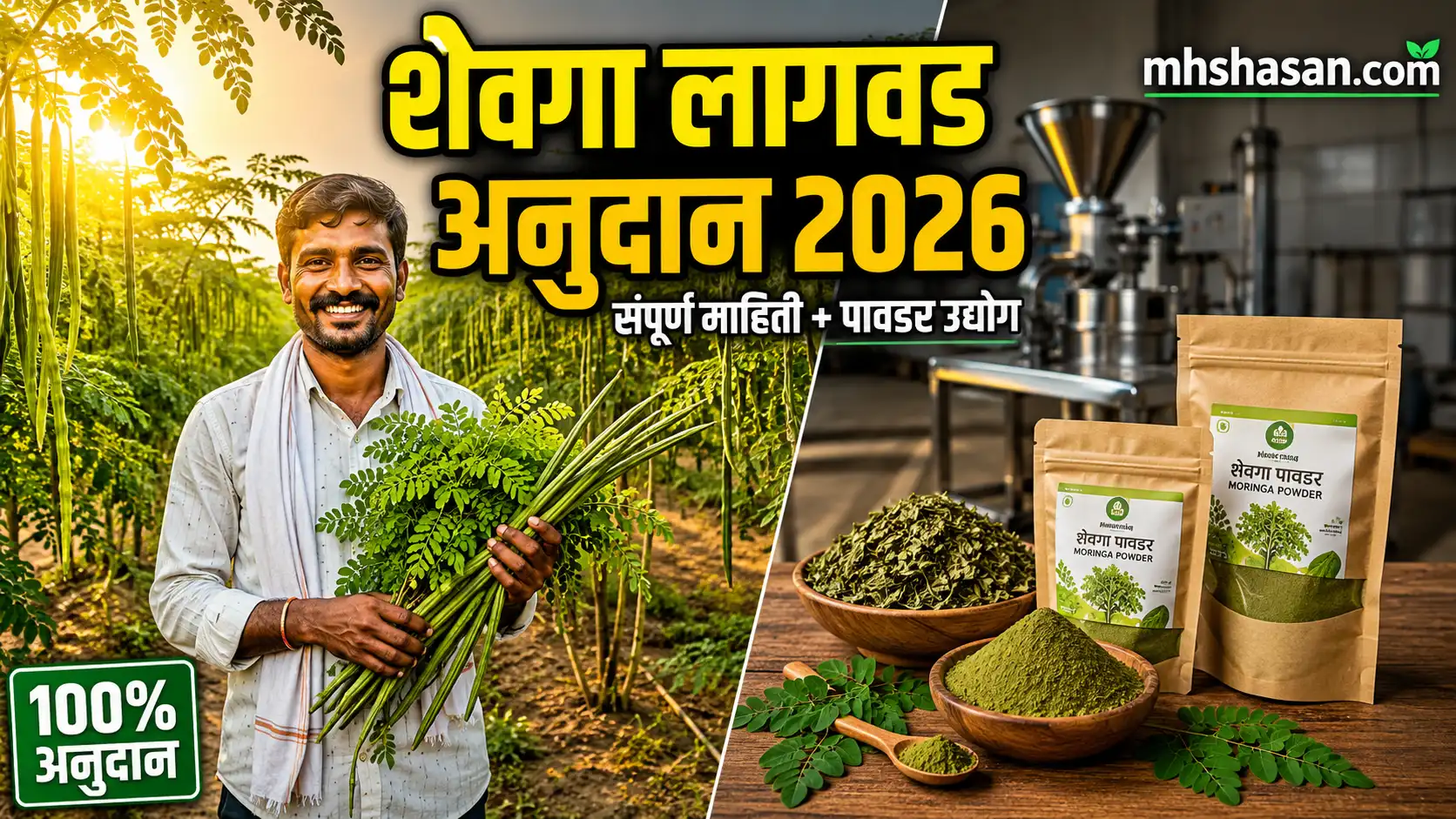 शेवगा लागवड आणि प्रोसेसिंग संपूर्ण माहिती 2026: अनुदान, अर्ज प्रक्रिया आणि उद्योगाची संधी