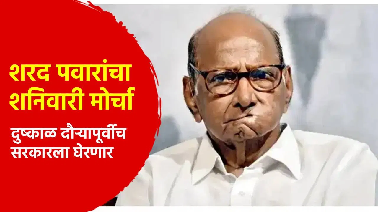 मोठी बातमी! अखेर तारीख ठरली, आता शरद पवार स्वत: मैदानात, सरकारला घाम फोडणारी घोषणा, वातावरण तापणार?
