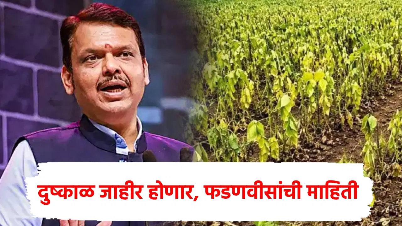 मोठी बातमी! राज्यात दुष्काळ जाहीर होणार, थेट फडणवीसांकडून जाहीर, या तारखेला जीआर निघणार