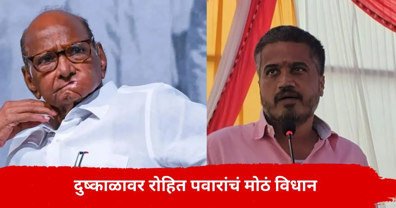Rohit Pawar : शरद पवारांना दुष्काळाची दाहकता समजते, शेतकऱ्यांचं राज्यात किती नुकसान झालं? रोहित पवारांनी दिली आकडेवारी