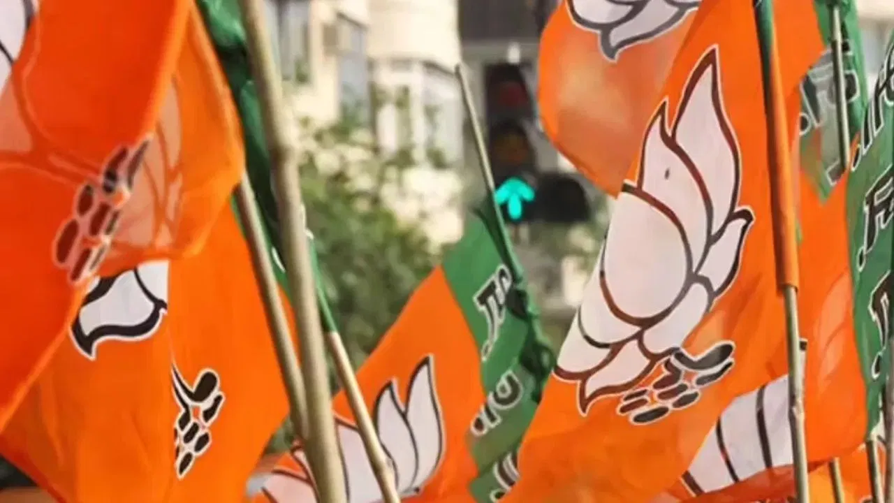 साहेब तोंड दाखवायला जागा राहिली नाही, लोक शिव्या घालताये हो…, भाजपच्या बड्या नेत्याला कार्यकर्त्याचा फोन, ऑडिओ क्लीप व्हायरल