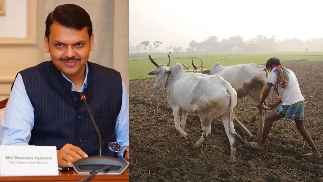 शेतकऱ्यांसाठी मोठी बातमी! पुण्यश्लोक अहिल्यादेवी होळकर योजनेचा तिसरा हप्ता खात्यात जमा
