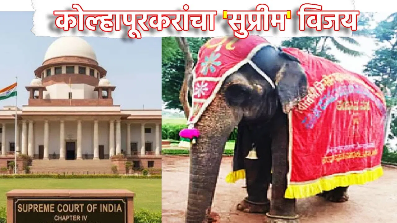 कोल्हापूरकरांचा ‘सुप्रीम’ विजय, माधुरी हत्तीण नांदणी मठात राहण्याचा मार्ग मोकळा, पेटाला दणका